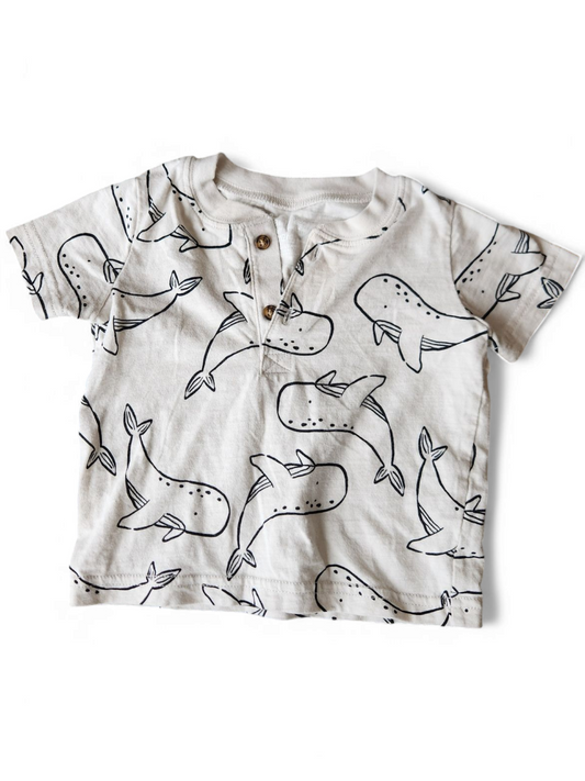 Carters 12m top