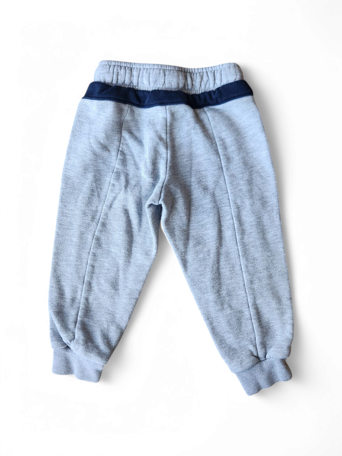 Reebok 2t pants